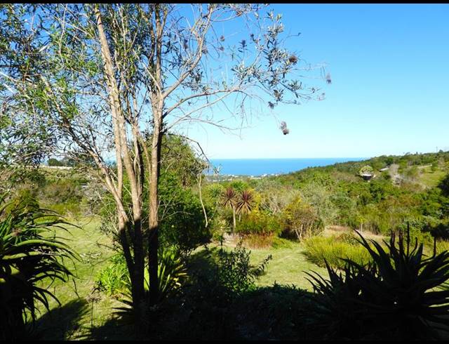 FARM FOR SALE IN HOEKWIL